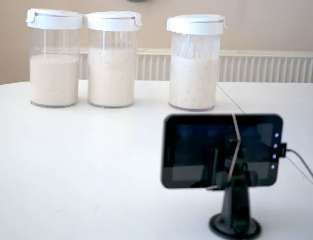 Bread Baking Technique #7 - Fermentation of doughs - timelapse videos