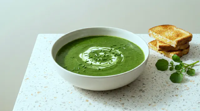 Blender Soup