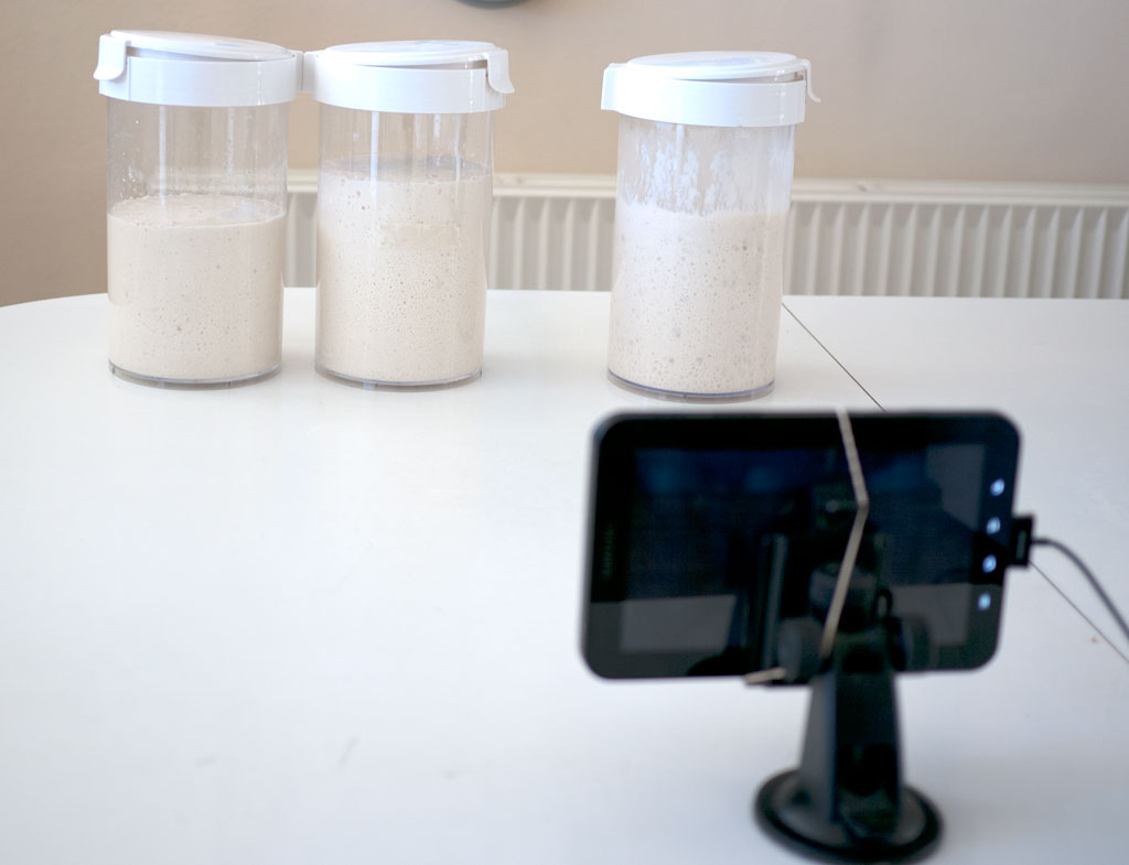 Bread Baking Technique #7 - Fermentation of doughs - timelapse videos