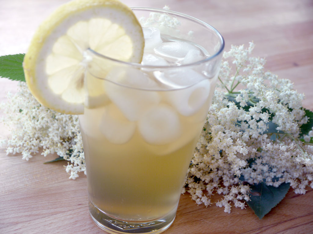 Elderflower Cordial