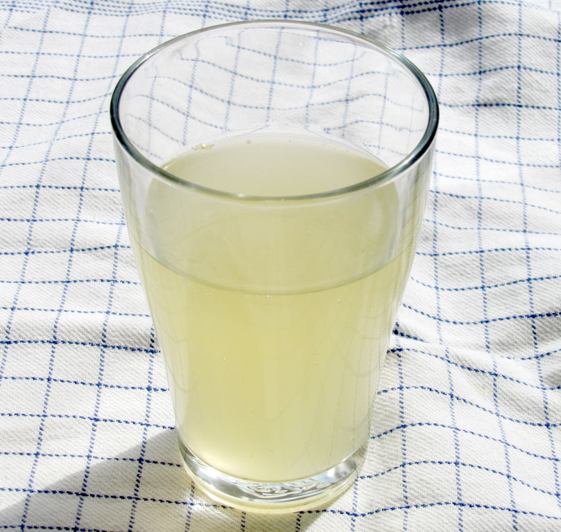 Ginger ale or other types of fizzy softdrink - with no machines