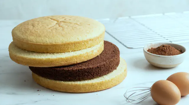 Layer cake layers - Sponge layers - light and dark