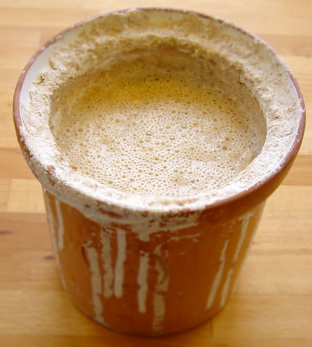 Make a Sourdough Starter